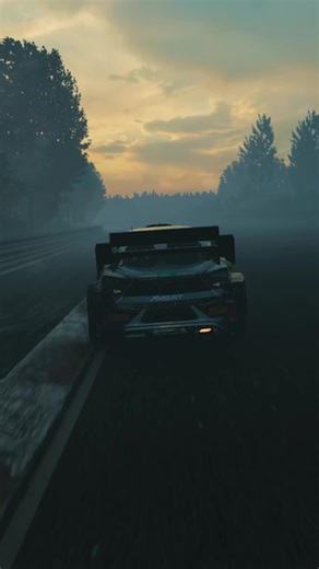 Rally at the Nordschleife 🔥 #simracing #volante #cars #rally #assettocorsa