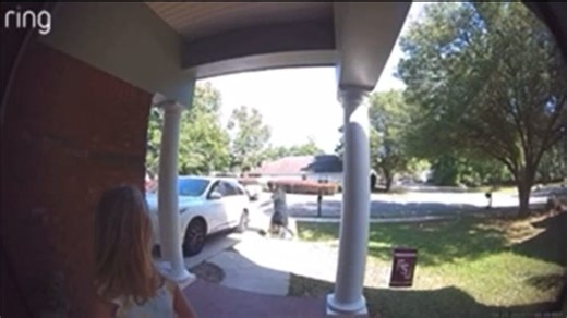 Northeast Tallahassee shooting: Video shows suspect firing at dog in car as kids scream