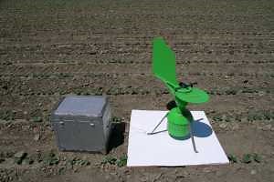 Cucumber downy mildew update on spore detection