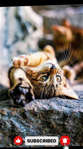 DSLR CAMERA HACK 😱 BEGINNER PHOTOGRAPHY TIP 🔥 😲 #shorts #viralshorts