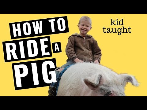 PIG RIDING! How to Ride a Pig--Kid Taught and Kid Approved!
