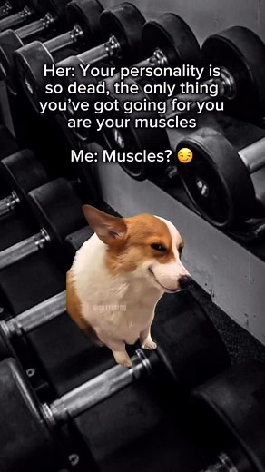 Xerography on Instagram: "So you think I’m muscular 😏💪 . #meme #gym #gymmemes #bodybuilding #lifting"