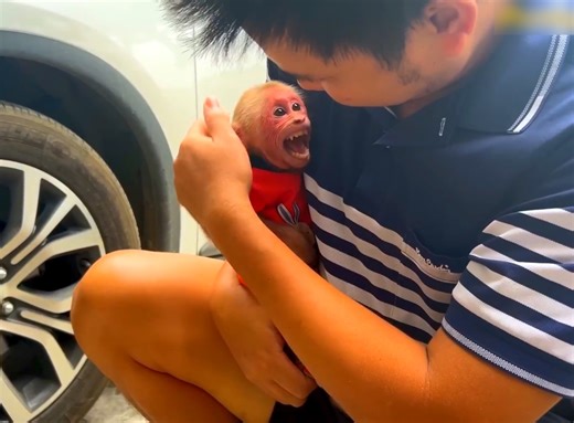 OMG...BiBi screaming biggest mouth telling Dad he so hungry, BiBi cried dramatic like this need his Dad feed him and BiBi 's back also has a molt make Dad so worried | Viral HD