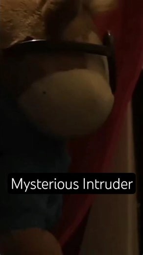 Mystery Intruder | Alvin's Mission A New Problem | Chipmunk Project