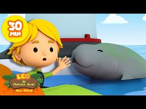 PANDU BAYI DUGONG KEMBALI KE INDUKNYA! 🧜‍♀️ | 30 Menit | Leo Si Penjaga Alam | Kartun Anak #hewan