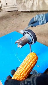 Eto ang hinahanap ng mga Farmers | Ka Garden