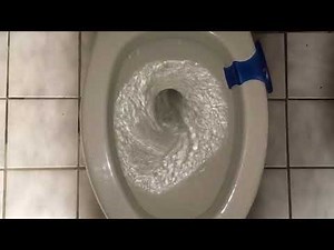 Bathroom tour: Eljer and American Standard toilets at a 1980s shopping Mall