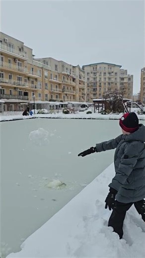 ​Snowball vs. Pool: The ultimate splash! ❄️💦