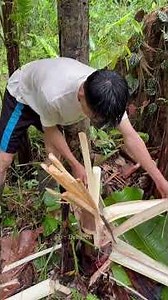 He Cuts Down a Banana Tree for Its Tender Core 🌿