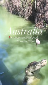 "The top end, different from the bottom end kakadu National park, Darwin, NT Kakadu National Park is an amazing nature reserve in Australia’s Northern Territory. The park has so much to see from wetlands, rivers, wildlife (including saltwater crocodiles and flatback turtles) and Aboriginal rock paintings, dating to prehistoric times. Not to be missed if you’re in the Northern Territory!" As captured by @the.scenic.route.uk [IG] #dokakadu #kakadunationalpark #adventure #wildlife | Kakadu Tourism.