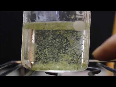 小学４年 理科 水の温まり方（茶葉＆示温インク）How to warm the water(using tea leaf and temperature indicator ink)