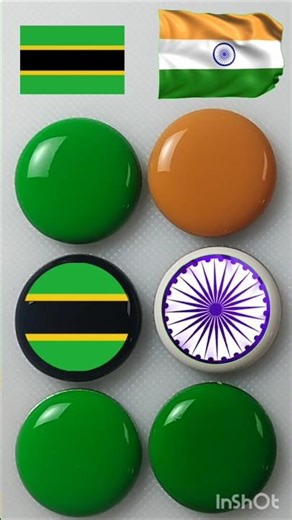 "Tanzania 🇹🇿 & India 🇮🇳 Flag Coin Art | Creative Flag Drawing | Satisfying Art"
