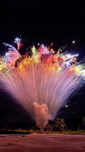 The beauty of fireworks lies in that fleeting moment. #Fireworks show