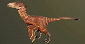 Deinonychus | Characters | Unity Asset Store