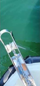 Lewmar 700 Electric Windlass Delta Anchor