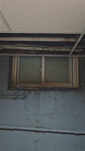 Drop ceiling repair