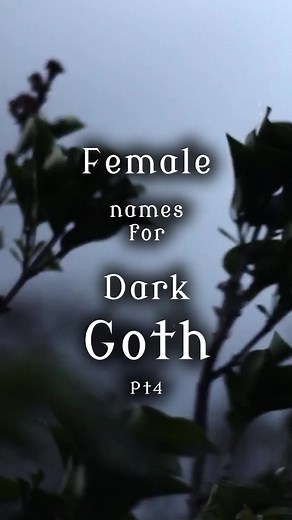 Yopy Mystic sur TikTok