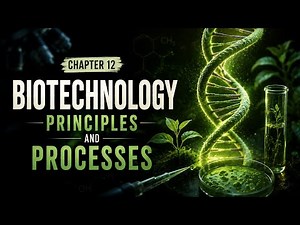 BIOTECHNOLOGY: PRINCIPLES AND PROCESSES WITH ANIMATION | One shot