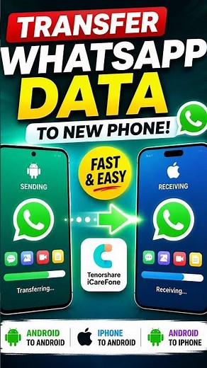 Transfer WhatsApp Data to New Phone! #howto #whatsapp #tenorshare