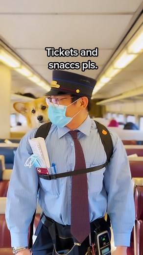 692K views · 10K reactions | The Queen of the train meets the King of the train! #dogsofinstagram #dogdad #doglover #surprise #newyorkcity | Maxine the Fluffy Corgi | Facebook