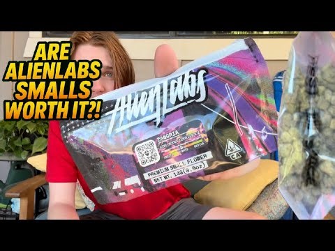 Are AlienLabs Smalls Worth it?! (Zangria)