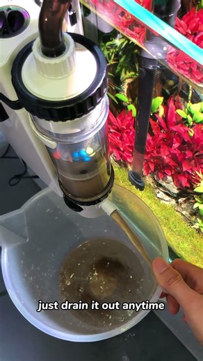 The Easiest Way to Get Crystal Clear Aquarium Wate