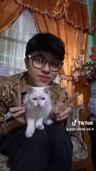 "neo",my first cat,cute isn't it?