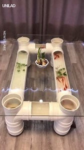 I need this fish tank coffee table in my house 😍🐟 | UNILAD