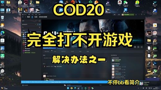 关于使命召唤20完全打不开游戏的解决方法之一