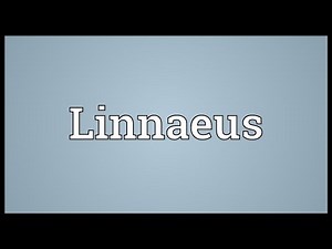 Linnaeus Meaning