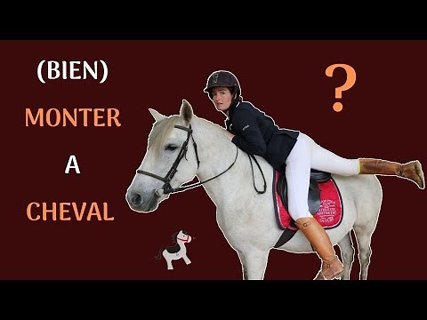 🐴How to (properly) ride a horse?