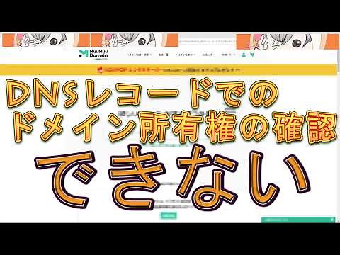 DNSレコードでのドメイン所有権の確認 出来ない やり方 ムームードメイン ロリポップ DNS
