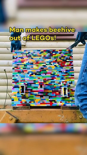 149K views · 165 reactions | this lego beehive is comepletely functional! #reels #bee #bees #beehive #lego #legos #honey | In The Know Innovation | Facebook