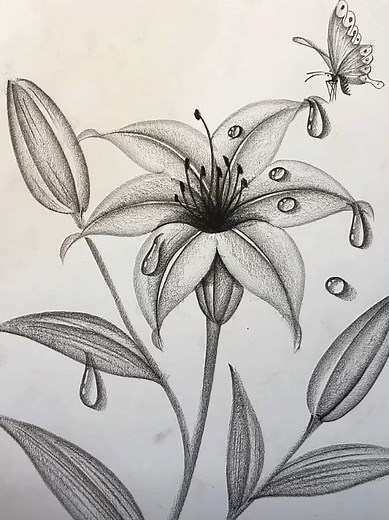 How to Draw with a Pencil: A Beginner's Guide