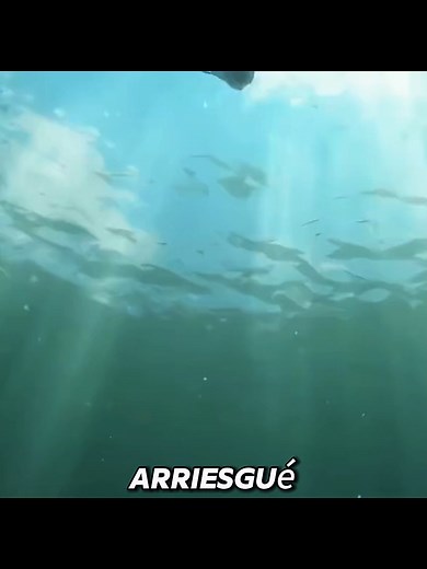 La angustiosa historia de Yichen y Chen Ho