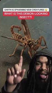 Earth Keeps Spawning New Creatures… WHAT Is This Thing? #creature #natureiswild #insects #fyp