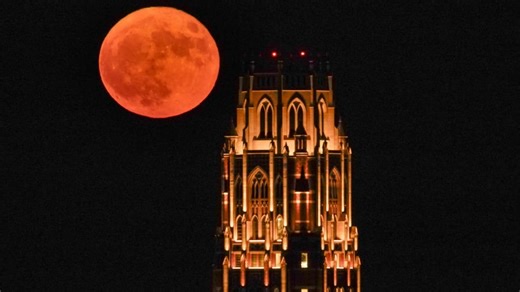 Look up tonight to catch a rare 'super blue moon'