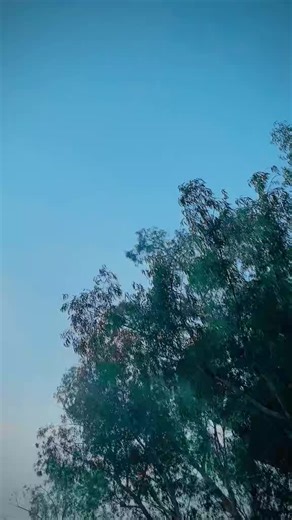 Cultural Significance of Jhumar Dance in Balochi Tradition