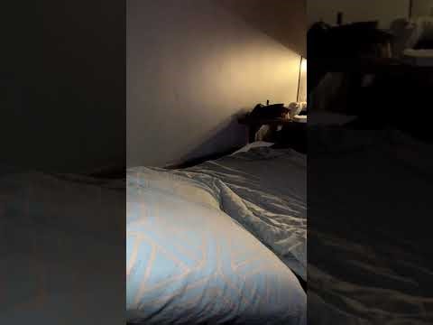 Evening Routine Live | #Relax & #Unwind