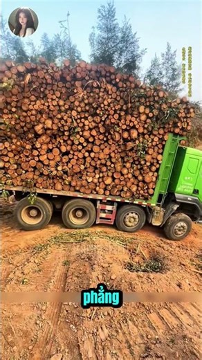 Off-Road Logging Truck Driving Skills!