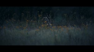 55K views · 611 reactions | 2021 isn't just a new year, it's a whole new Daily Wire. Our first feature film, RUN HIDE FIGHT, will be released for on-demand streaming to Daily Wire members on Friday, January 15th. RUN HIDE FIGHT follows a high school sieged by a quartet of school shooters when one young girl, 17-year-old Zoe Hull, uses her wits and survival skills to fight back. Watch the official trailer here. | Daily Wire | Facebook