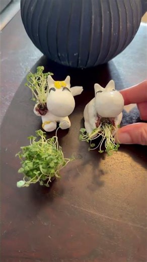 Chia pets made out of clay #shorts