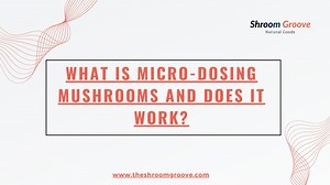 What is Micro-dosing Magic Mushrooms and does it work?