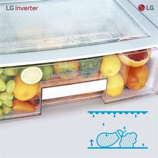 La tecnología Moist Balance Crisper™ de tu refrigeradora LG te...