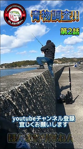 【新芳養漁港!!青物調査&ポイント紹介】#automobile #fishing#和歌山釣り #エギング#青物#南紀白浜#ブリ #のませ釣り #堤防釣り#ヒラメ#和歌山南紀釣り#釣り#ショアジギング