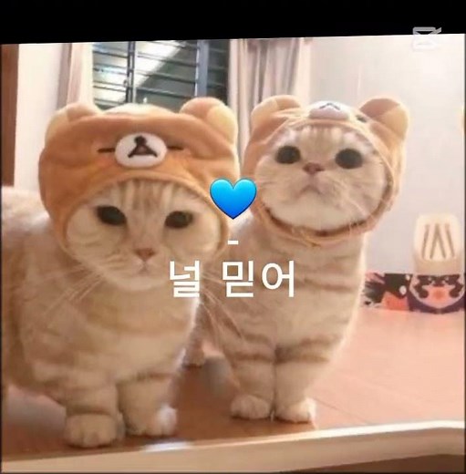 하트별 색의 의미 8가지 #하트 #예쁜 #귀여운 #감동