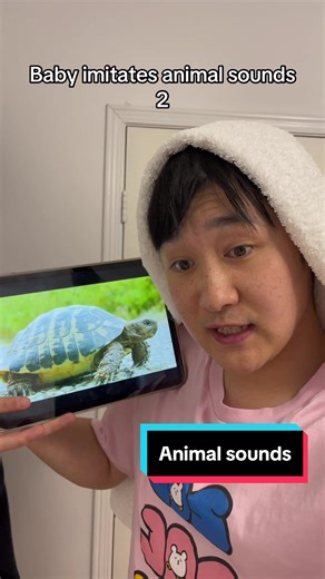 Discover What Sounds Animals Make in This Funny Skit