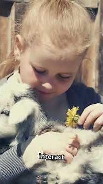 Orlando's 8 Best Petting Zoos: Up-Close Animal Encounters