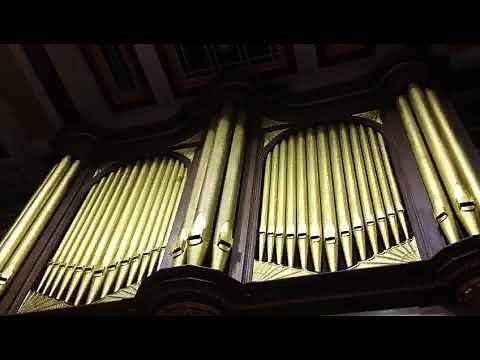 Newcastle city hall organ