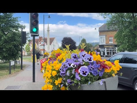 Discover the CHARMING Sights of Weybridge on a Quiet Walk